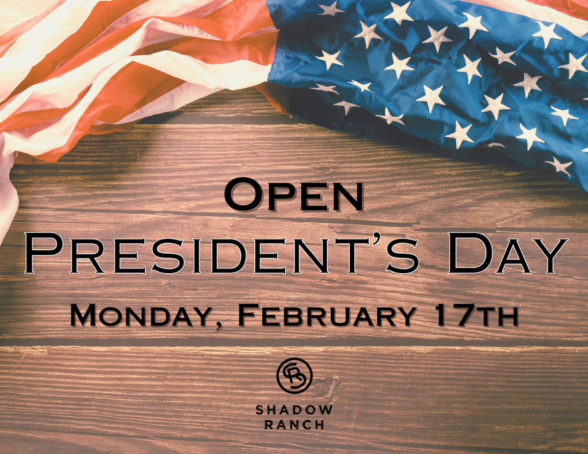 Image of American flag on a flat wood surface. Text reads Open President's Day Monday, February 17th