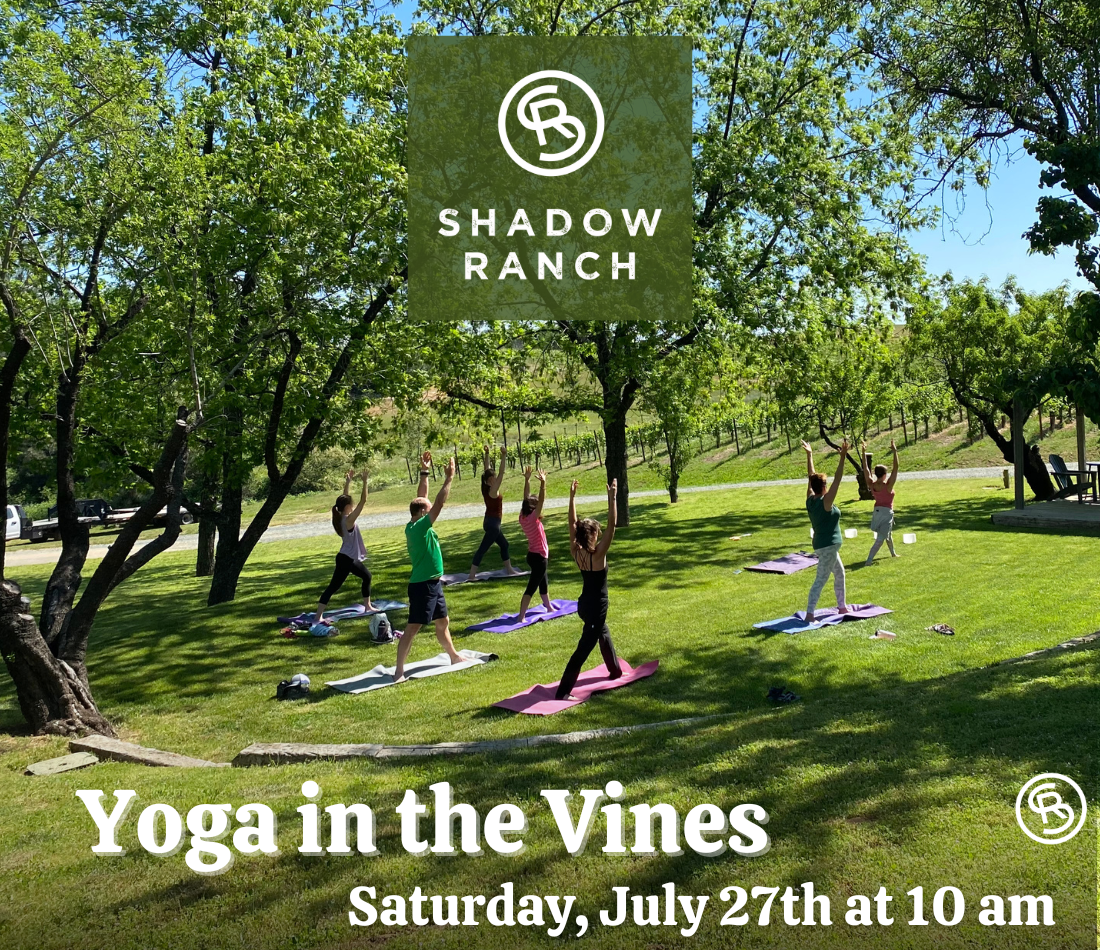 Image of several people in the grassy grove at Shadow Ranch, standing the yoga position Warrior 1. Text reads Yoga in the Vines Saturday, July 27th at 10 am